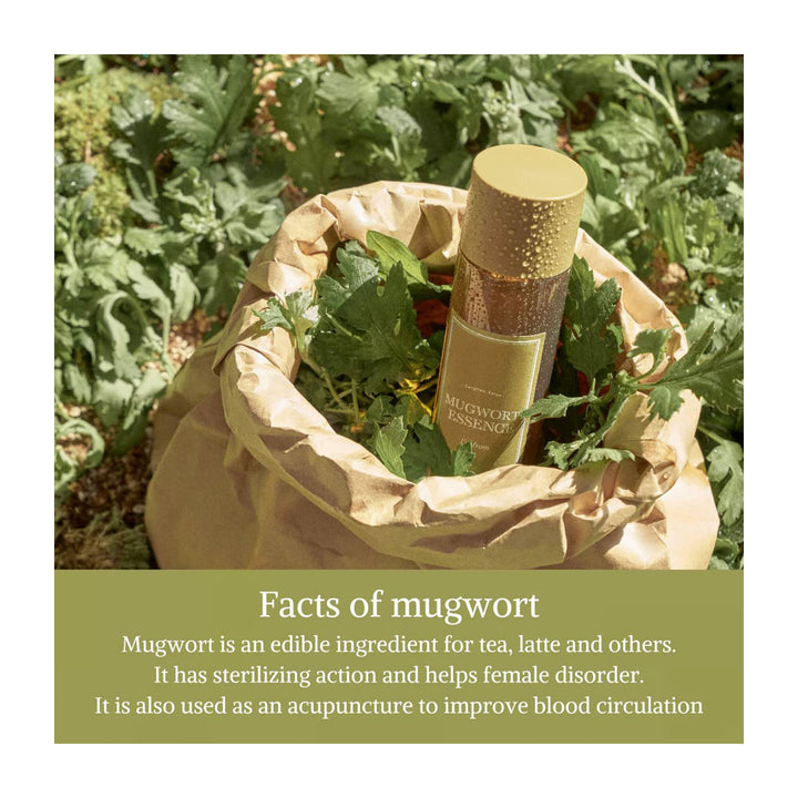 I'm From Mugwort Essence - Peaches&Creme Shop Korean Skincare Malta