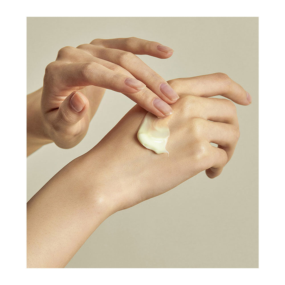 TORRIDEN Solid-In Ceramide Cream - Peaches&Creme Shop Korean Skincare Malta