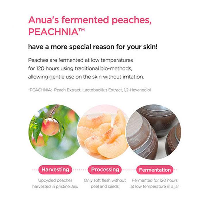 ANUA Peach 77% Niacin Enriched Cream - Peaches&Creme Shop Korean Skincare Malta