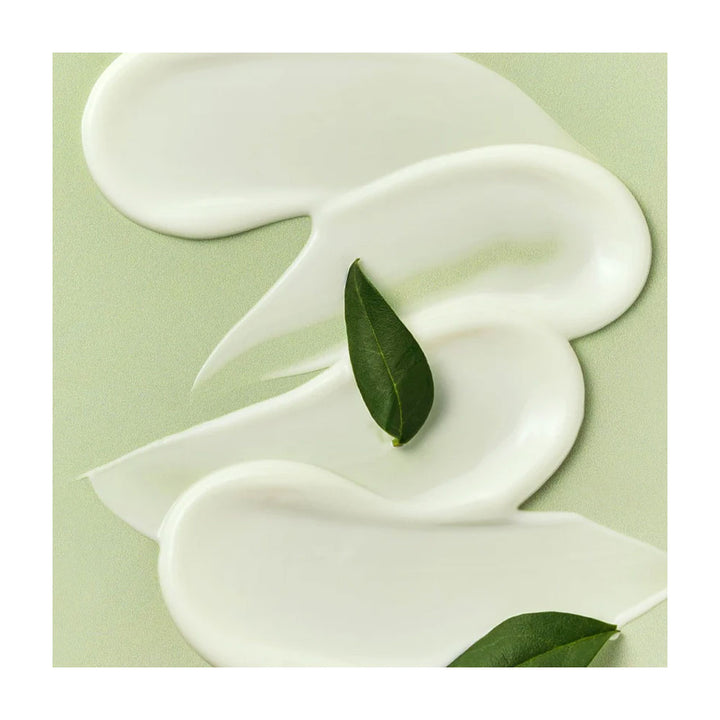 Haruharu Wonder Black Bamboo Top-to-Toe SPF Veil - Peaches&Creme Shop  Korean Skincare Malta