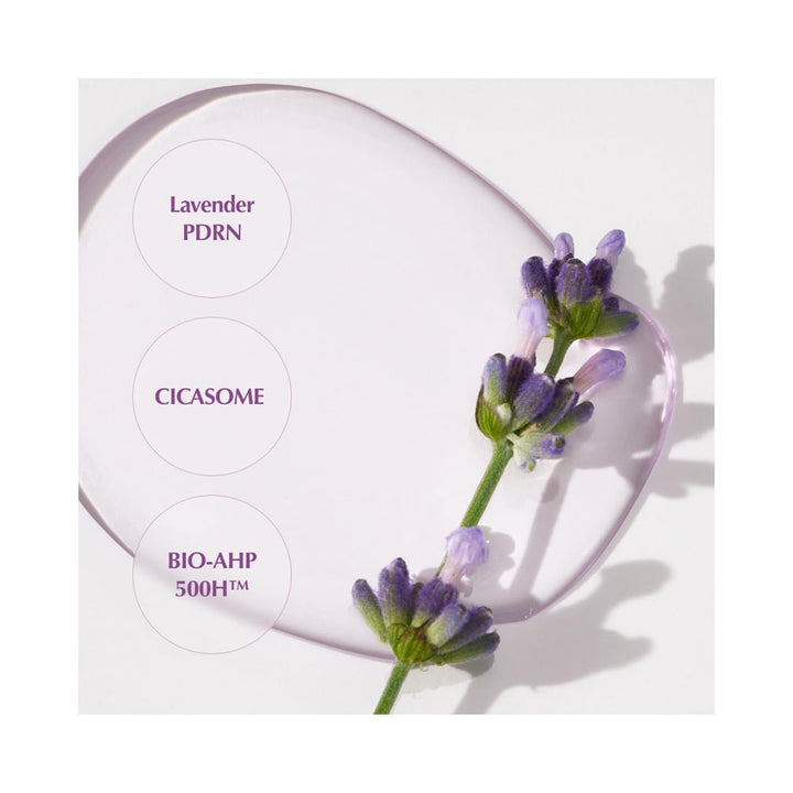 KAINE Lavender PDRN Revitalizing Toner - Peaches&Creme Shop Korean Skincare Malta