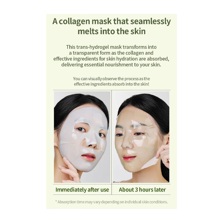 NACIFIC Green Tea Cica Collagen Gel Mask - Peaches&Creme Shop Korean Skincare Malta