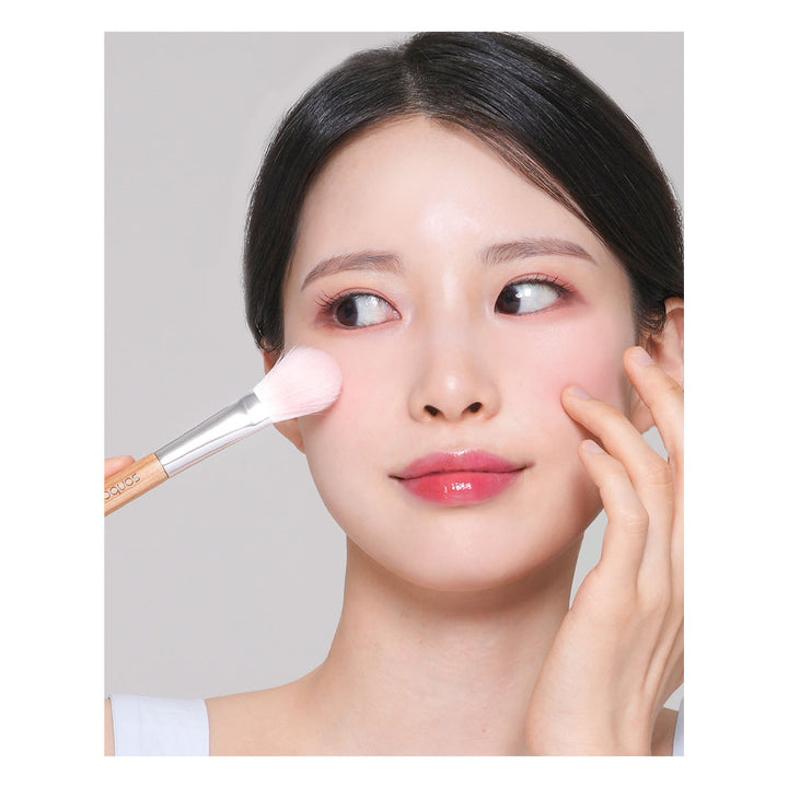 19 Blusher Brush