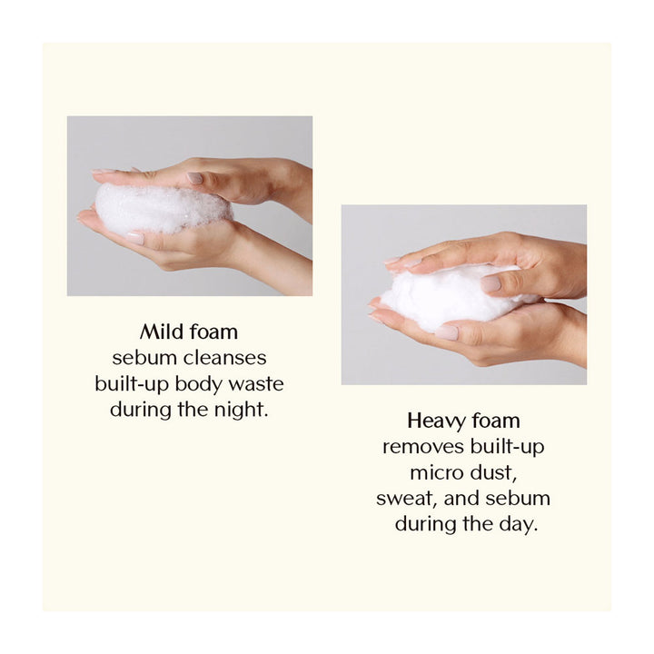 TREECELL Night Collagen Shampoo Midnight Forest - Peaches&Creme Shop  Korean Skincare Malta