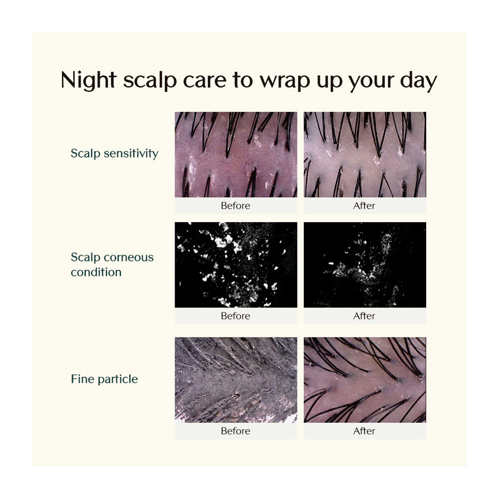 TREECELL Night Collagen Shampoo Midnight Forest - Peaches&Creme Shop  Korean Skincare Malta