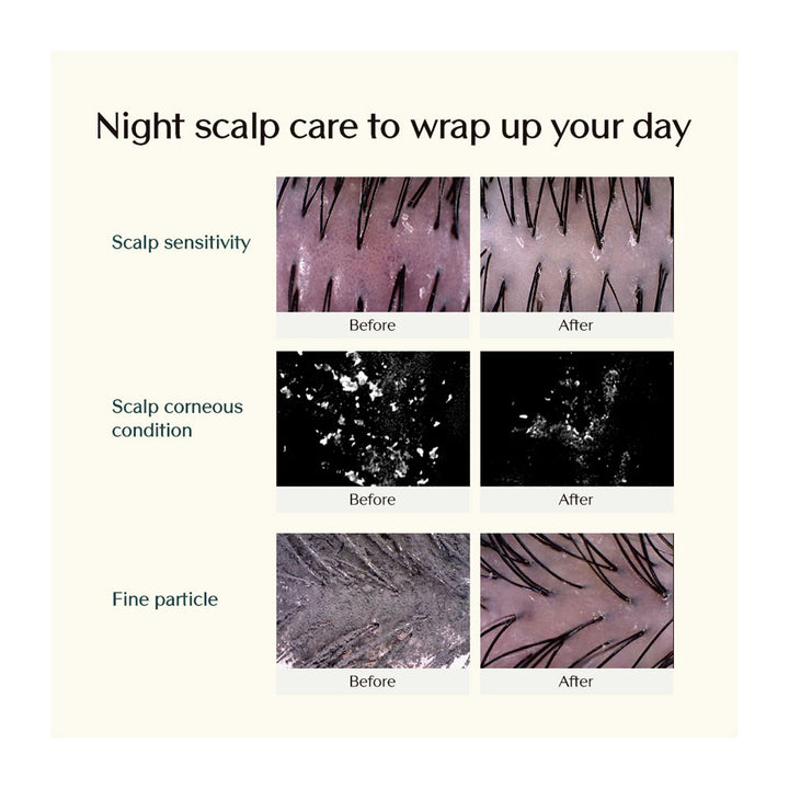 TREECELL Night Collagen Shampoo Midnight Forest - Peaches&Creme Shop  Korean Skincare Malta