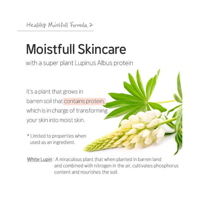 ETUDE HOUSE Moistfull Collagen Cream - Peaches&Creme Shop Korean Skincare Malta