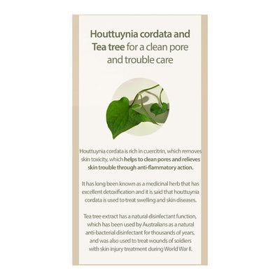 MARY & MAY Houttuynia Cordata +Tea Tree Serum - Peaches&Creme Shop Korean Skincare Malta