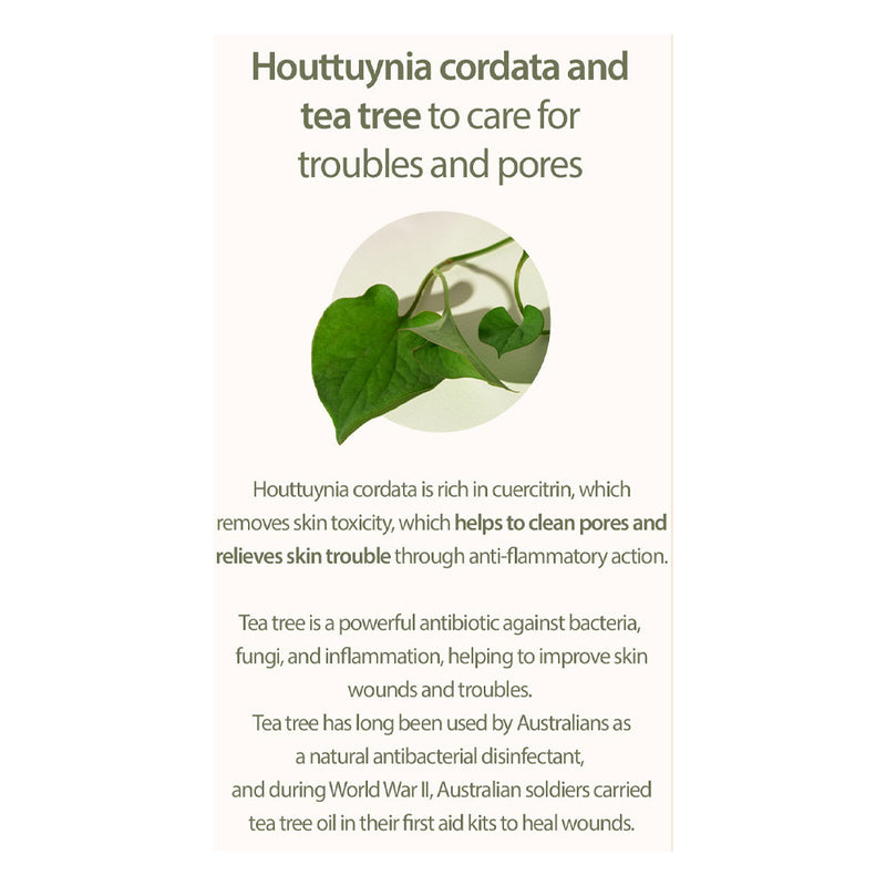 MARY & MAY Houttuynia Cordata + Tea Tree Cleansing Foam - Peaches&Creme Shop Korean Skincare Malta