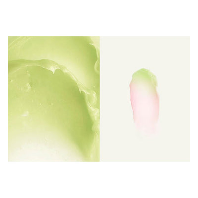 Ma:nyo Our Vegan Color Lip Balm [Green Pink - Avocado] - Peaches&Creme Shop Korean Skincare Malta